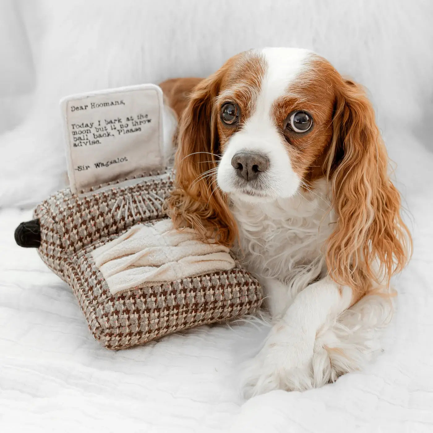 Lambwolf Collective - Typewriter