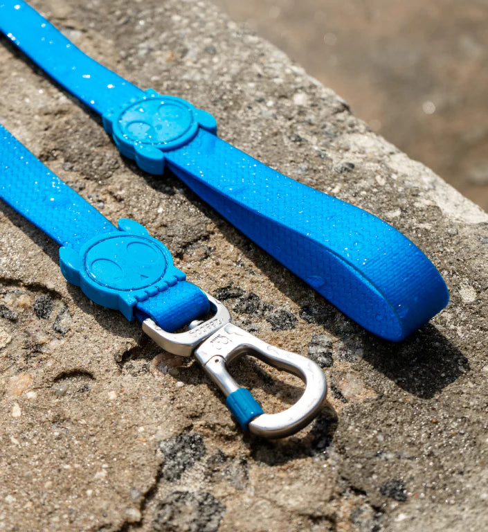 Zee.Dog - NeoPro Blue Riem