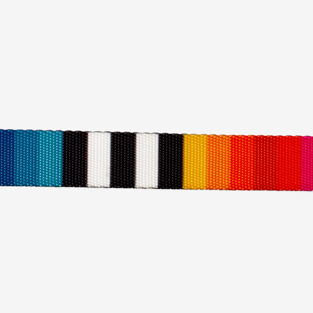 Zee.Cat - Katten halsband Prisma