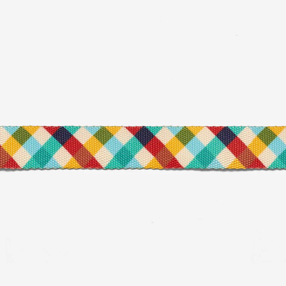Zee.Cat - Kattentuigje + Riem Set Phantom