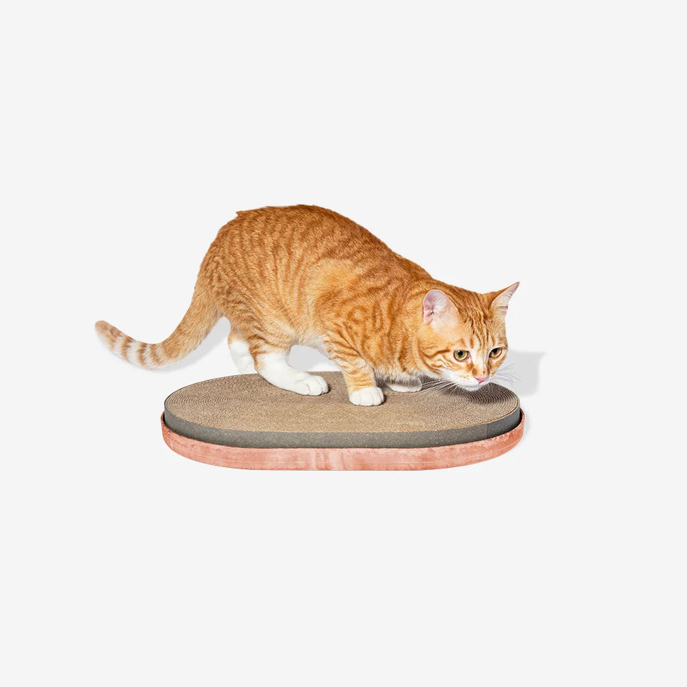 Zee.Cat - Katten Krabmat Citrus