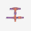 Zee.Dog - H-harnas NeoPro Iris
