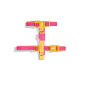 Zee.Dog - H-harnas NeoPro Lyra