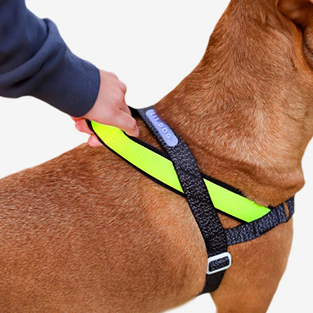 Zee.Dog - Nox Softer Walk harnas