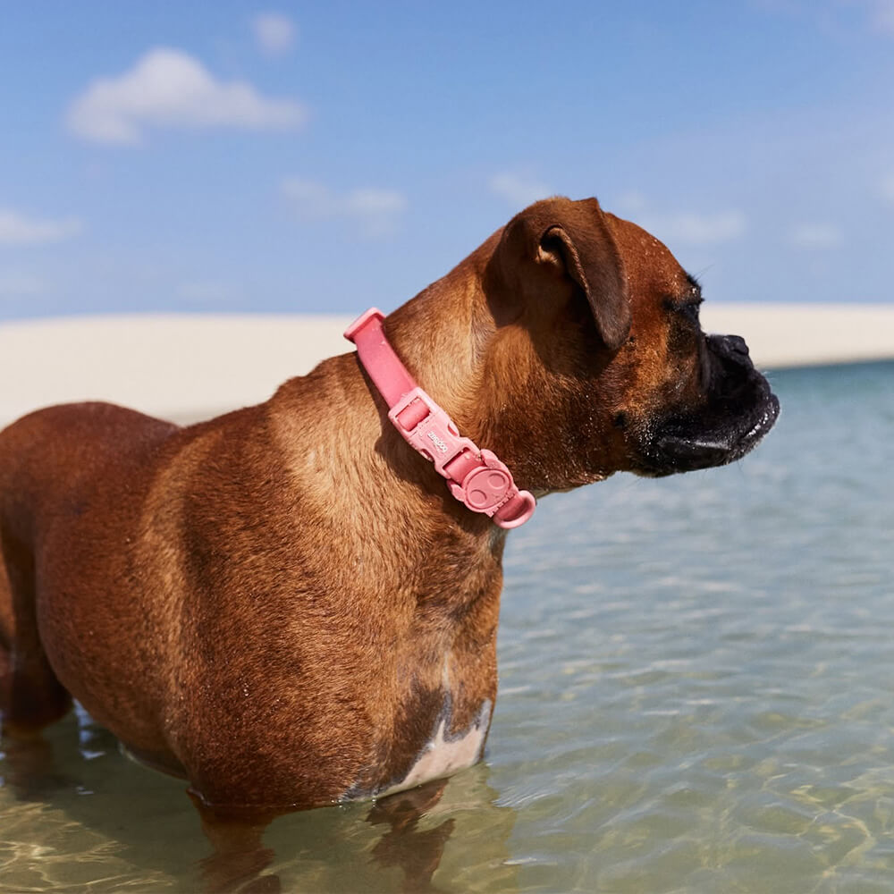 Zee.Dog - Halsband NeoPro Bubblegum