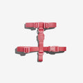 Zee.Dog - H-harnas NeoPro Bubblegum