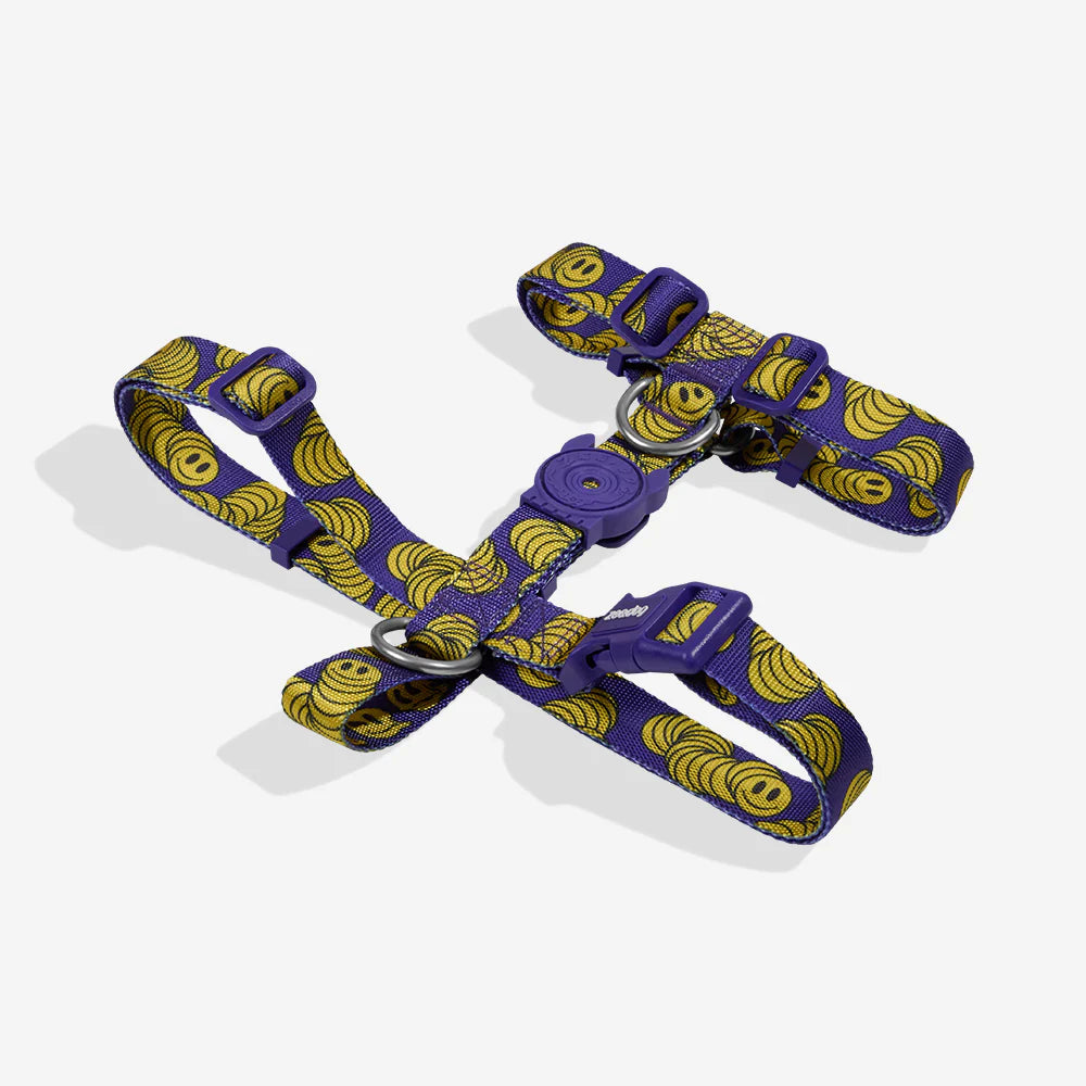 Zee.Dog - H-harnas Zmiley