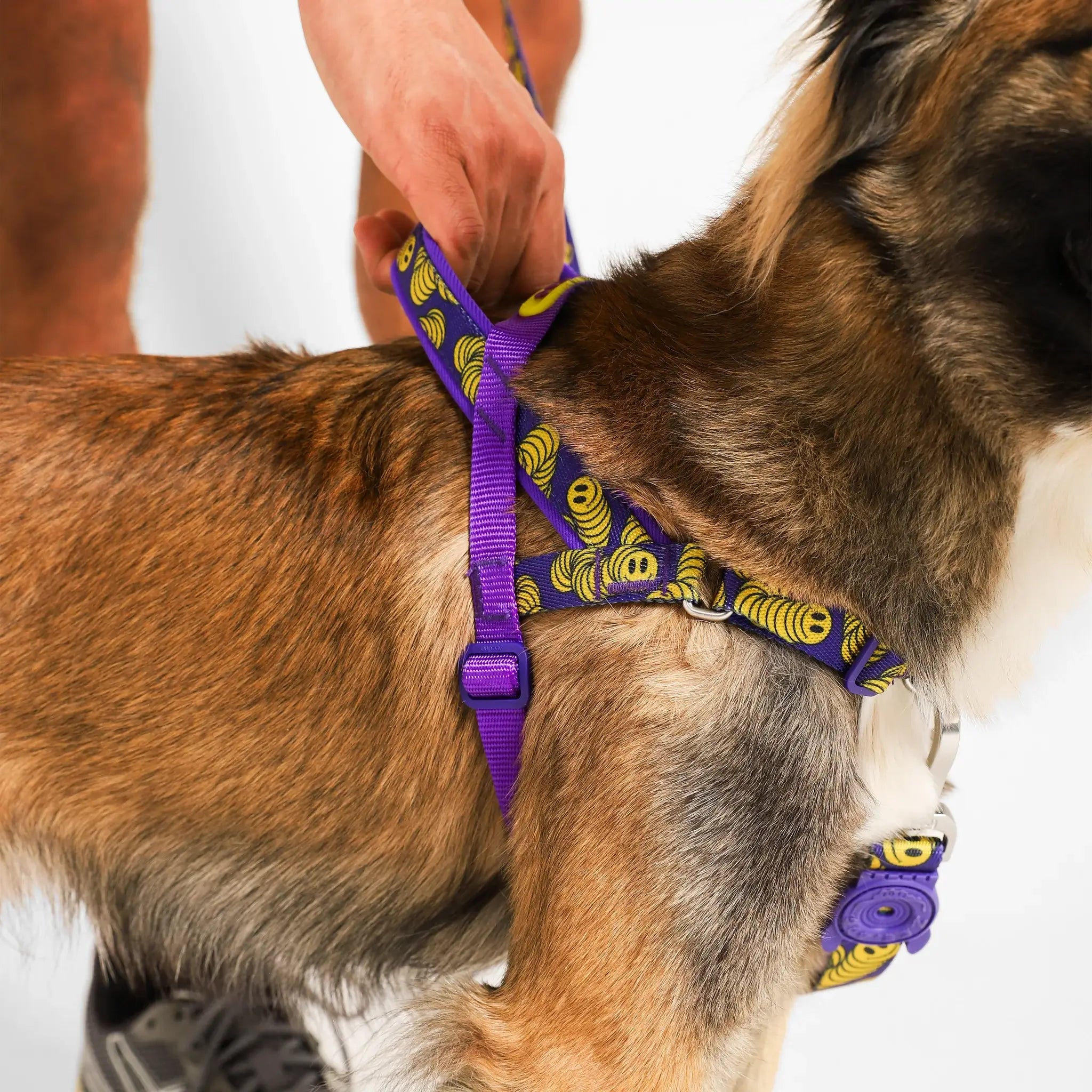 Zee.Dog - Zmiley Softer Walk harnas