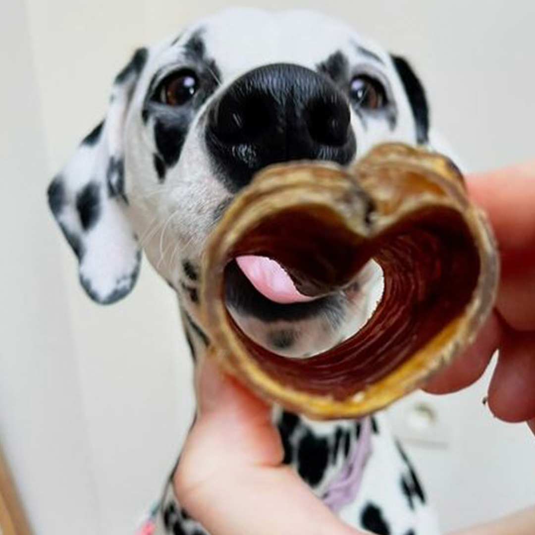 Kivo Petfood Runderluchtpijp gezaagd - 500 gram