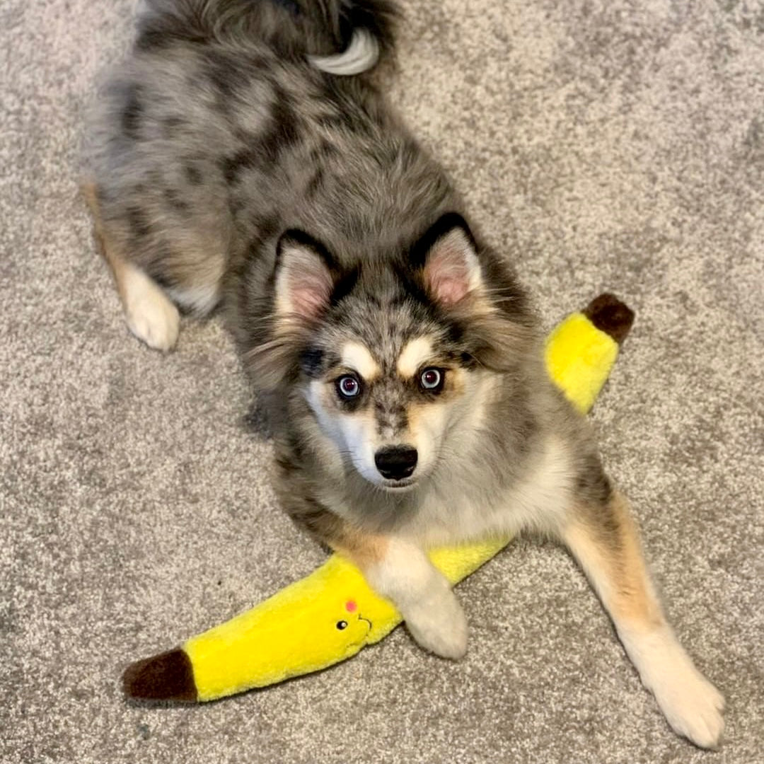 ZippyPaws Banana (51 cm)