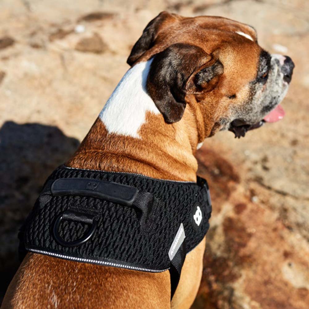 Zee.Dog Fly-harnas Gotham