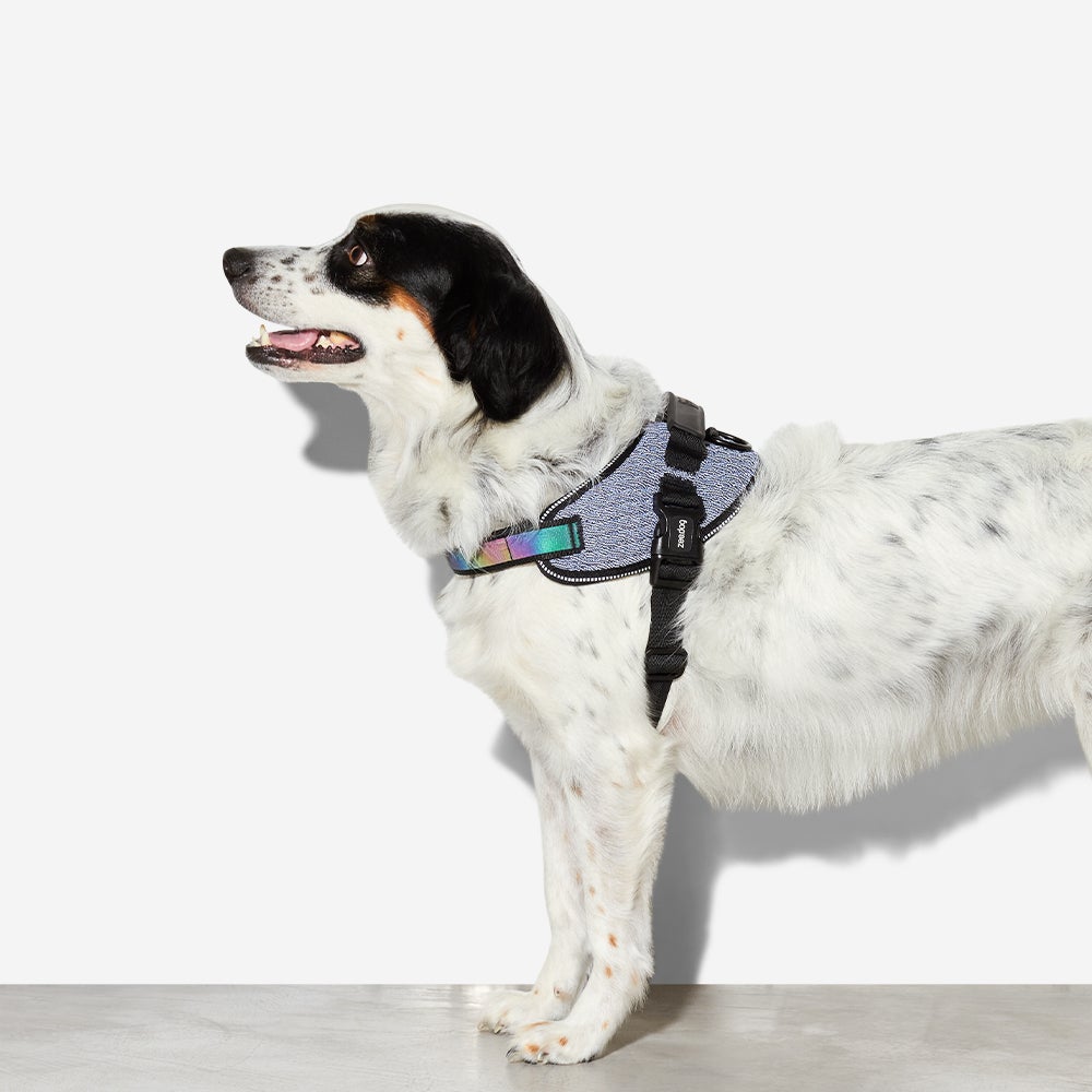 Zee.Dog Fly-harnas Urban