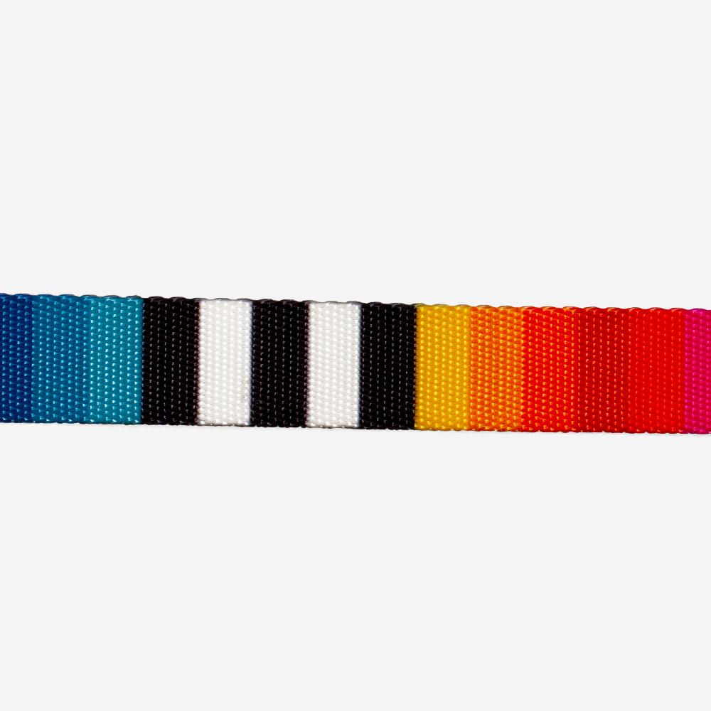 Zee.Dog Halsband Prisma