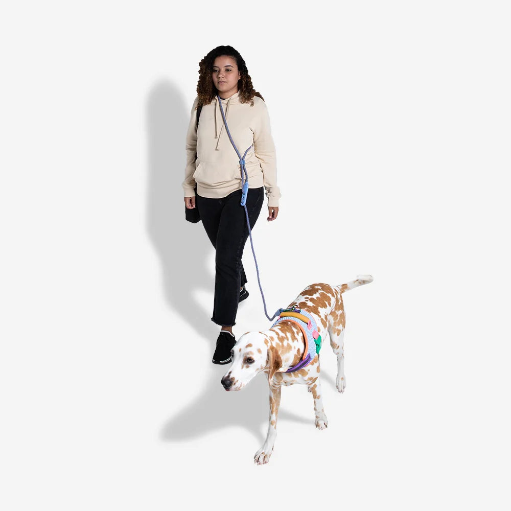 ZeeDog Handsfree Riem Andromeda