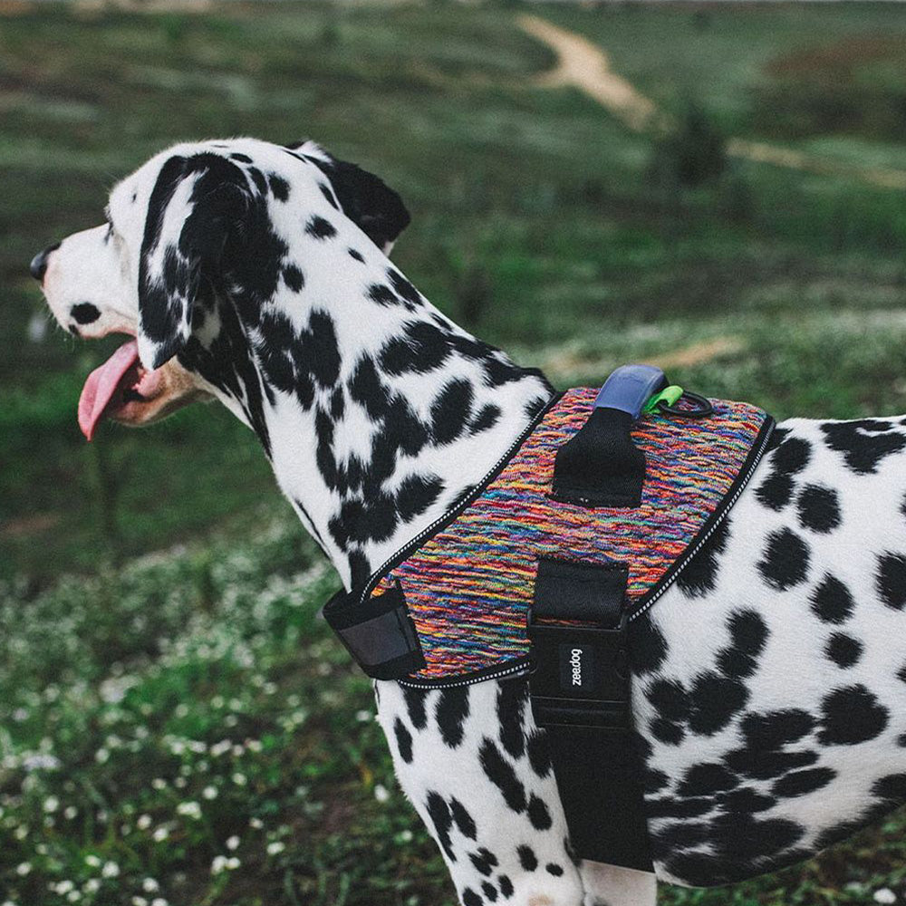 Zee.Dog Fly harnas Vortex
