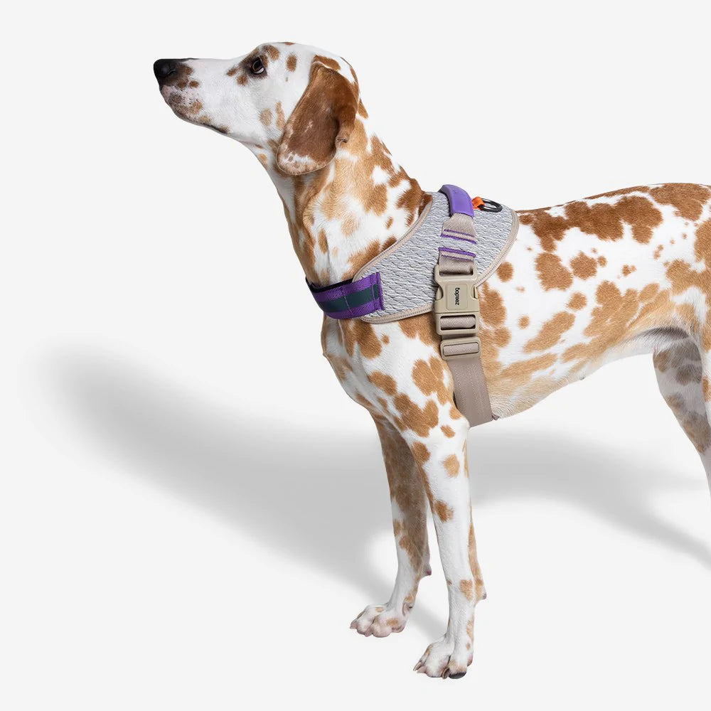 Zee.Dog fly harnas Acg