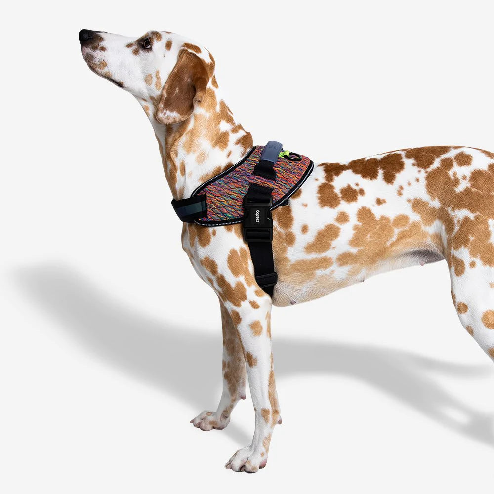 Zee.Dog Fly harnas Vortex