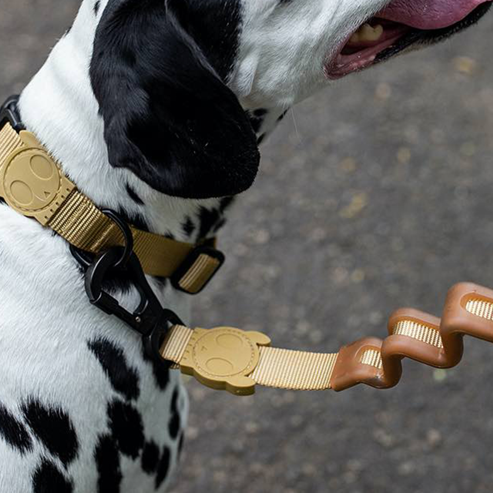 Zee.Dog Halsband Sand