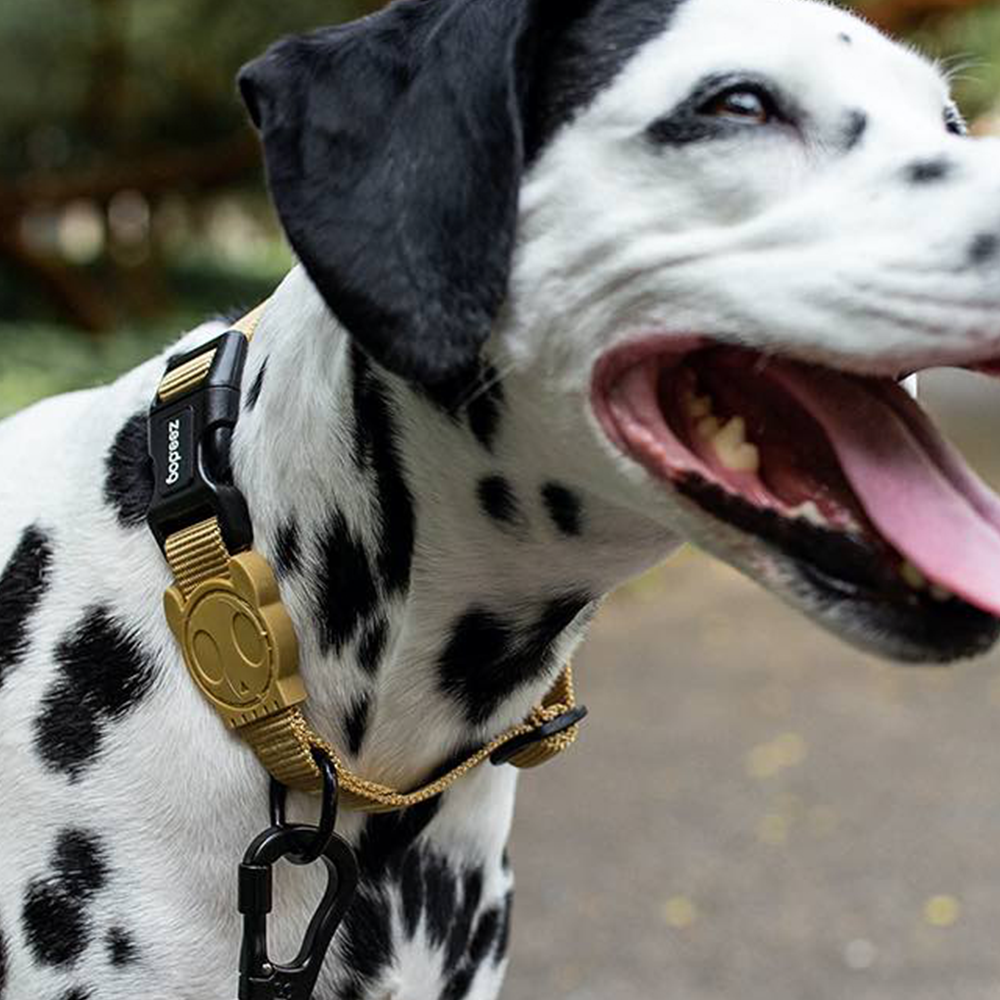 Zee.Dog Halsband Sand