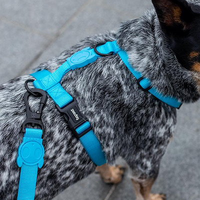 Zee.Dog H-harnas Ultimate Blue